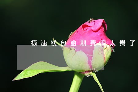 极速钱包逾期费用太贵了