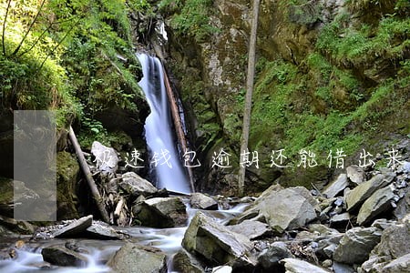 极速钱包逾期还能借出来么 极速钱包逾期还能借出来么