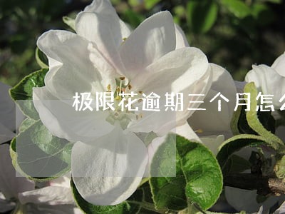极限花逾期三个月怎么办 极限花逾期三个月怎么办