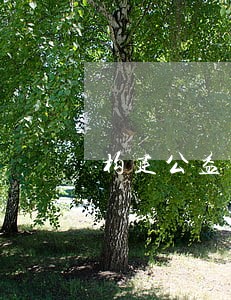 构建公益诉讼多维监督体系 构建公益诉讼多维监督体系