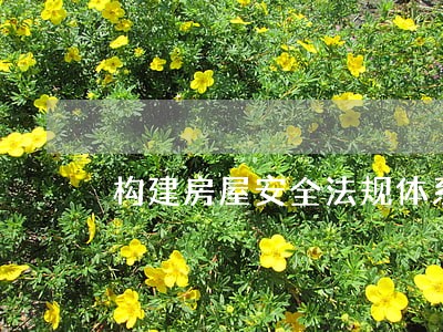 构建房屋安全法规体系