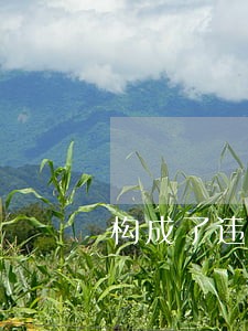 构成了违反国家法律法规
