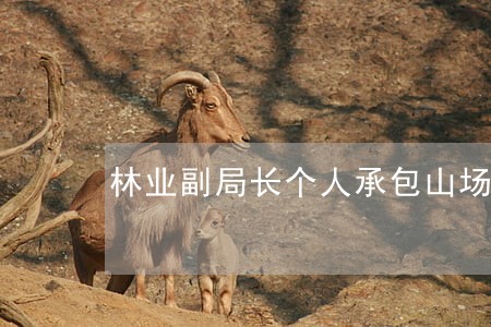 林业副局长个人承包山场违法吗