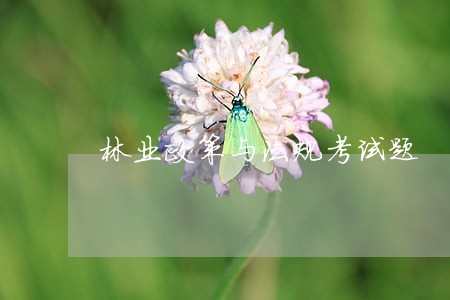 林业政策与法规考试题 林业政策与法规考试题