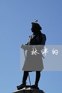 林丰的前妻离婚协议书 林丰的前妻离婚协议书