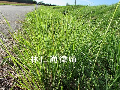 林仁通律师