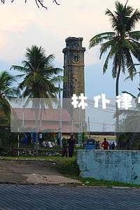 林仆律师 林仆律师