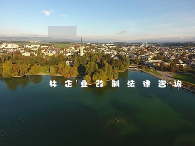 林企业改制法律咨询