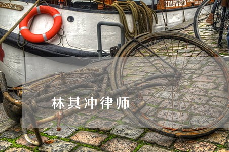 林其冲律师 林其冲律师