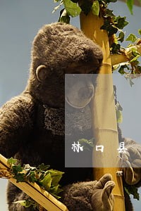 林口县专业的医疗律师 林口县专业的医疗律师