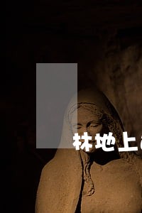 林地上违法建设项目整治行动方案 林地上违法建设项目整治行动方案