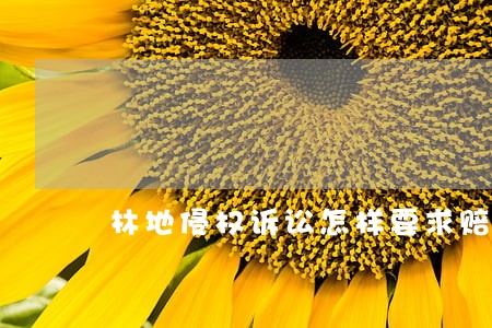 林地侵权诉讼怎样要求赔偿 林地侵权诉讼怎样要求赔偿