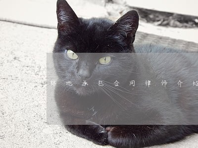 林地承包合同律师介绍 林地承包合同律师介绍