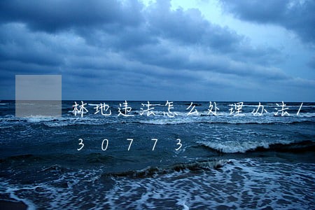 林地违法怎么处理办法/2023020630773 林地违法怎么处理办法/2023020630773
