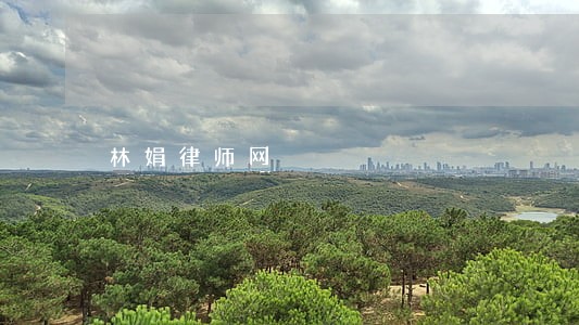 林娟律师网 林娟律师网