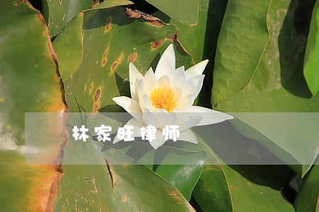 林家旺律师 林家旺律师