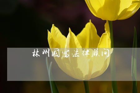 林州国富法律顾问 林州国富法律顾问