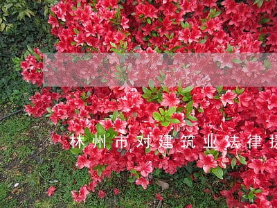 林州市对建筑业法律援助 林州市对建筑业法律援助
