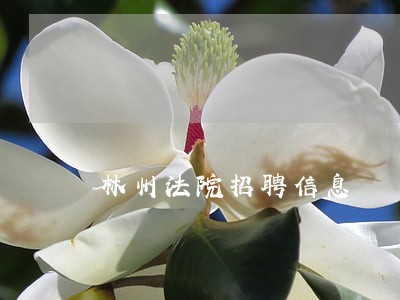 林州法院招聘信息 林州法院招聘信息