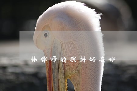 林律师的演讲好在哪 林律师的演讲好在哪