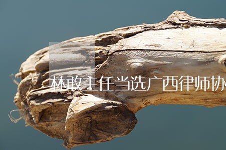 林敢主任当选广西律师协会副会长 林敢主任当选广西律师协会副会长