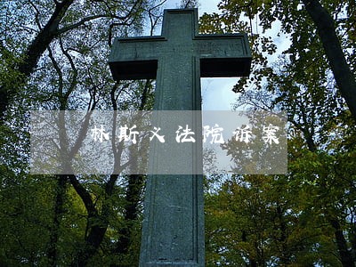 林斯义法院诉案 林斯义法院诉案