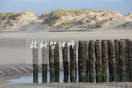 林树智律师