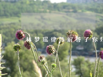 林梦瑶律师解答了你好 林梦瑶律师解答了你好