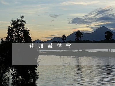 林洁娃律师 林洁娃律师