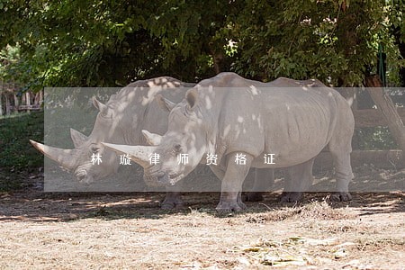 林璇律师资格证 林璇律师资格证
