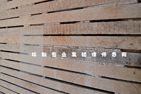 林甸专业离婚律师费用
