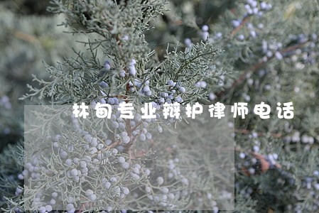 林甸专业辩护律师电话 林甸专业辩护律师电话