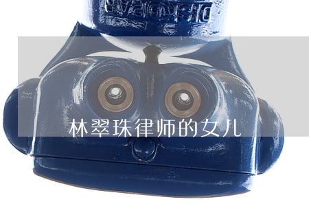林翠珠律师的女儿 林翠珠律师的女儿