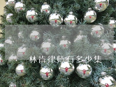 林肯律师有多少集