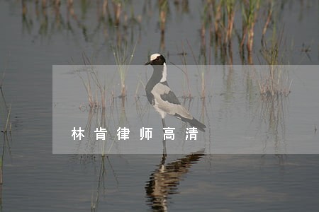 林肯律师高清 林肯律师高清