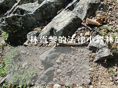 林胥黎的法律小森林的个人空间