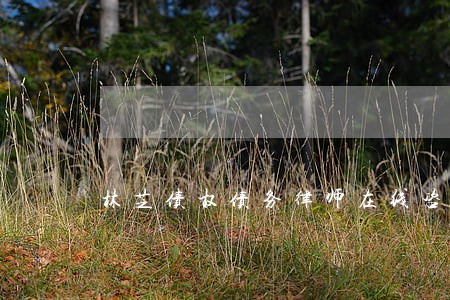 林芝债权债务律师在线咨询 林芝债权债务律师在线咨询