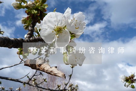 林芝刑事纠纷咨询律师 林芝刑事纠纷咨询律师