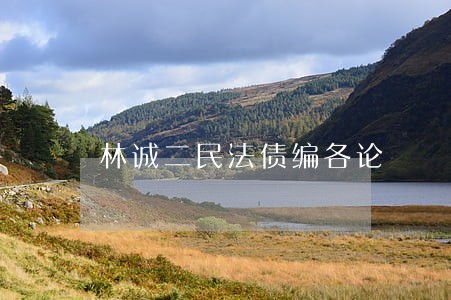 林诚二民法债编各论