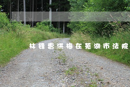 林锋曹洪梅在芜湖市法院的案件