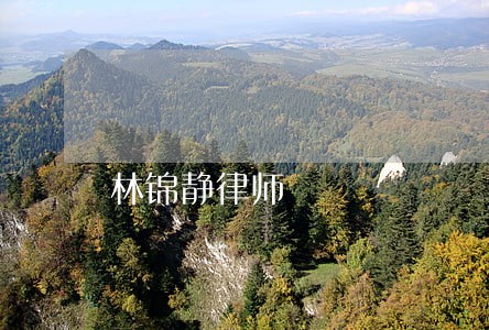 林锦静律师