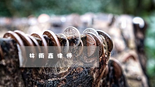 林雨鑫律师 林雨鑫律师