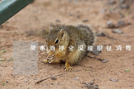 果木酒押金没逾期征消费税吗 果木酒押金没逾期征消费税吗