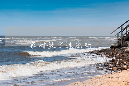 果树放了违法吗 果树放了违法吗