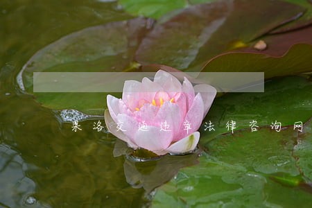 果洛交通违章法律咨询网 果洛交通违章法律咨询网