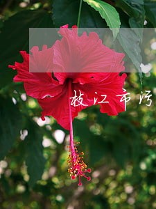 枝江市污染损害律师在线免费咨询