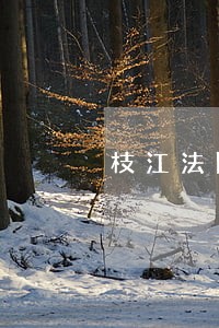 枝江法院拍卖 枝江法院拍卖