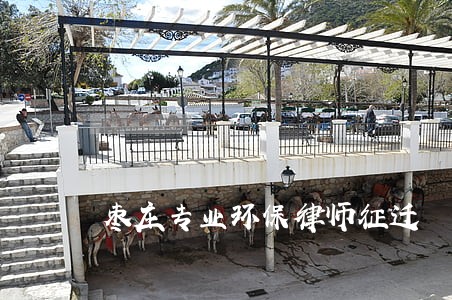 枣庄专业环保律师征迁