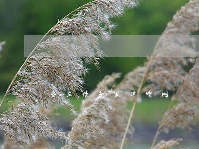 枣庄债务案律师网 枣庄债务案律师网