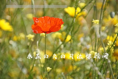 枣庄公交公司法律顾问 枣庄公交公司法律顾问